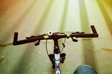 _MG_2585.jpg