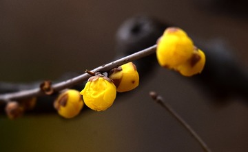 36330