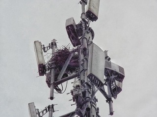 1240044