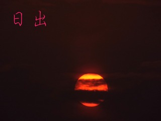 1446106
