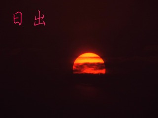 1446107