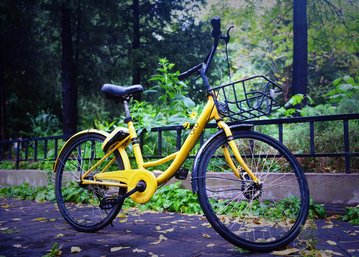 青春 自行车 小黄车