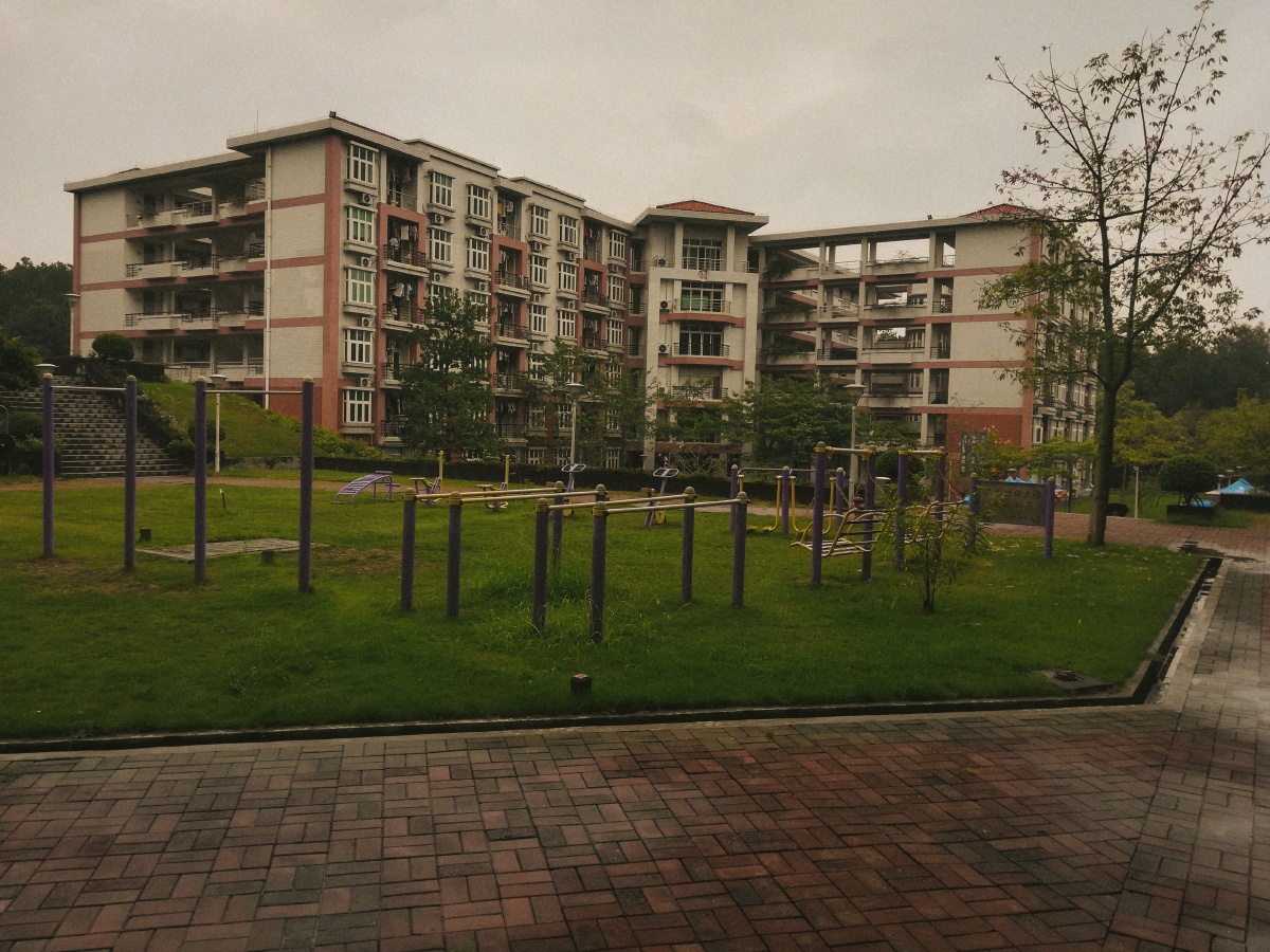 广财三水校区掠影