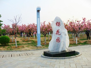 215041