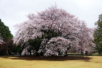DSC00760_conew1