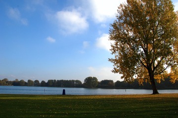 DSC_0029_Fotor
