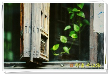 窗口