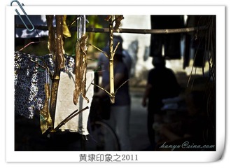 _DSC5275_副本.jpg