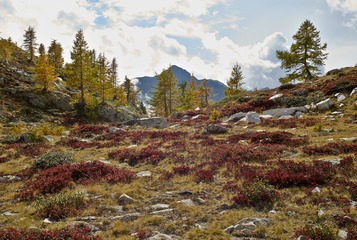 _DSC5235_副本.jpg
