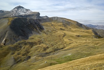 _DSC5246_副本.jpg