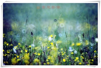 _DSC3354_副本.jpg