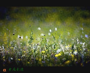 _DSC3380_副本.jpg