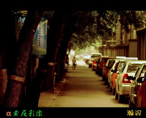 _DSC3652_副本.jpg