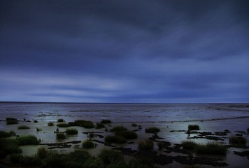 _DSC6507.jpg