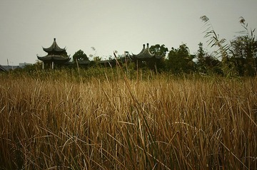 _DSC02427_副本.jpg
