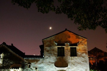 DSC02732_conew1.jpg