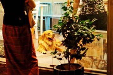 DSC02769_conew1.jpg
