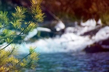 _DSC5850_副本.jpg