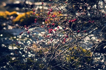 _DSC5858_副本.jpg
