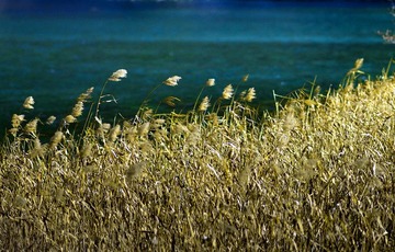 _DSC5863_副本.jpg