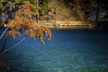 _DSC5869_副本.jpg