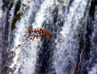 _DSC5882_副本.jpg