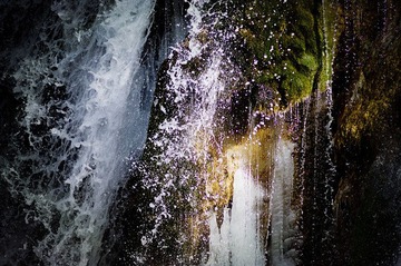 _DSC5883_副本.jpg