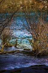 _DSC5935_副本.jpg