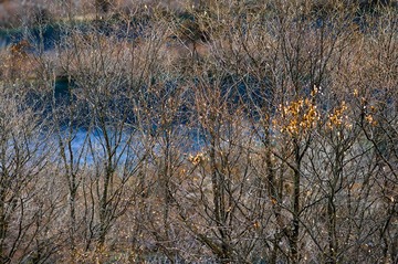_DSC5956_副本.jpg