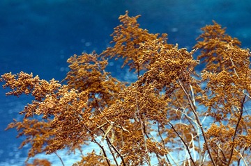 _DSC5965_副本.jpg