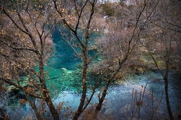 _DSC5984_副本.jpg