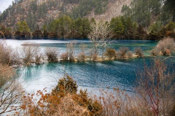 _DSC5993_副本.jpg