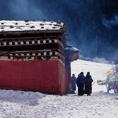 _DSC4174.jpg