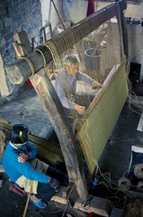 _DSC8513.jpg