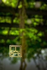 _DSC8360.jpg