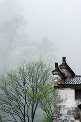 _DSC7864.jpg