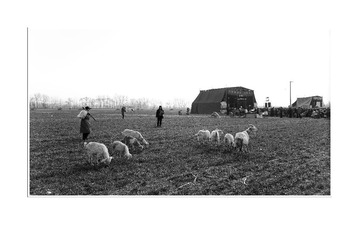 _DSC1734
