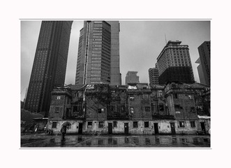 _DSC6440