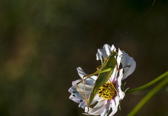 20150920_4938