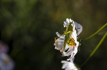20150920_4939
