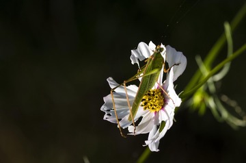 20150920_4940
