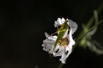 20150920_4942