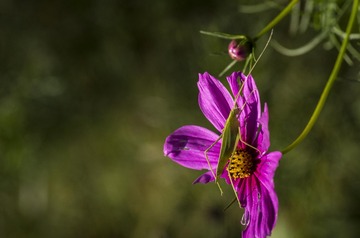 20150920_4943