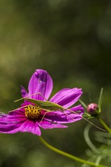 20150920_4944