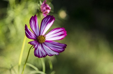 20150920_4947