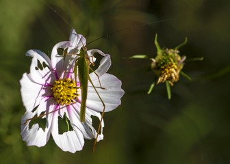 20150920_4948