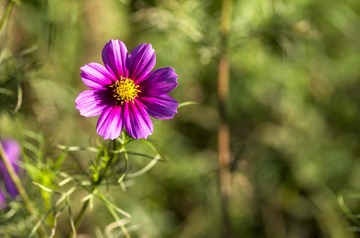 20150920_4950