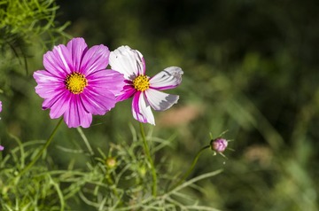 20150920_4952