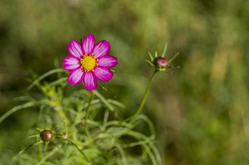 20150920_4953
