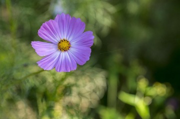 20150920_4957